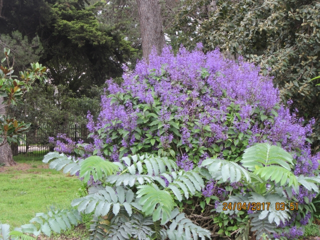 Werribee Park, Australia