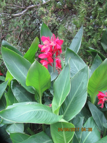 No label, Werribee Park, Australia.